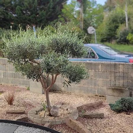 Les Cytises Allonnes (Sarthe)