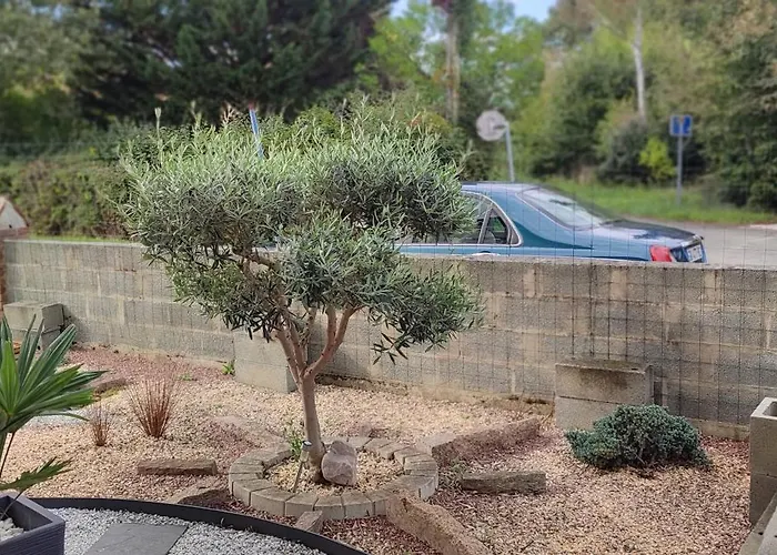 Les Cytises Allonnes (Sarthe)